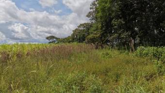 SE VENDE FINCA CON TOPOGRAFIA PLANA Y POTENCIAL AGRICOLA EN PEREZ ZELEDON