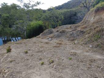 Se vende lote en Piedades Santa Ana 24-1187