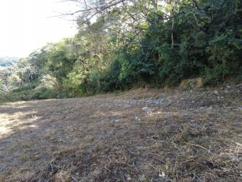 Se vende lote en Piedades Santa Ana 24-1187