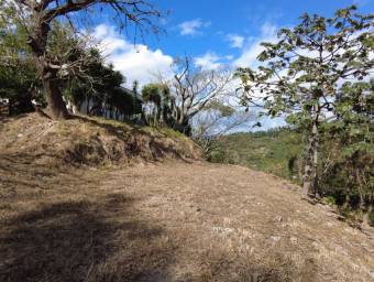 Se vende lote en Piedades Santa Ana 24-1187