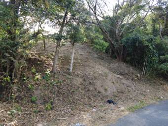 Se vende lote en Piedades Santa Ana 24-1187