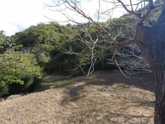 Se vende lote en Piedades Santa Ana 24-1187