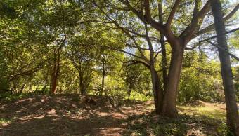16 casas construidas y 19 lotes listos 16 casas construidas y 19 lotes listos