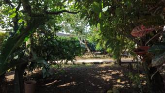 VENTA DE CASA DE 4 HABITACIONES CON ARBOLES FRUTALES EN EL HOYON, PEREZ ZELEDON