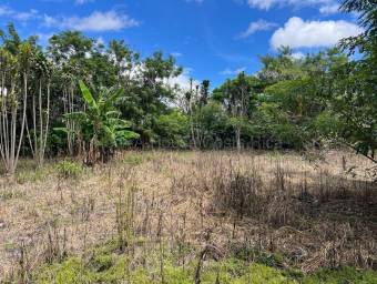 Se vende lote Santo Tomas Santo Domingo 27-1081