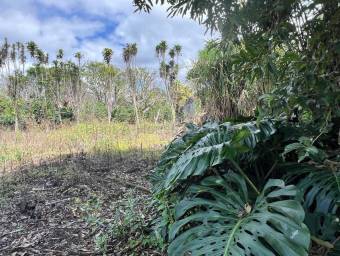 Se vende lote Santo Tomas Santo Domingo 27-1081