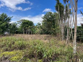 Se vende lote Santo Tomas Santo Domingo 27-1081