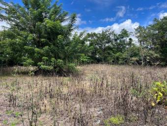 Se vende lote Santo Tomas Santo Domingo 27-1081