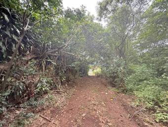 Se vende lote en Ángeles San Rafael 27-1087
