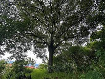 Se vende lote en Ángeles San Rafael 27-1087