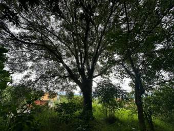 Se vende lote en Ángeles San Rafael 27-1087