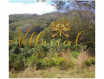 V#306 Majestuosa Finca en Venta/Guanacaste