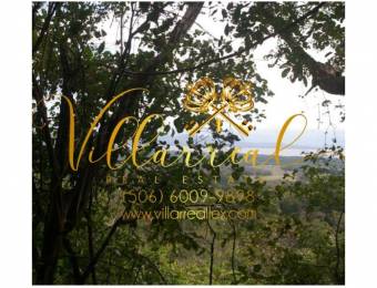 V#306 Majestuosa Finca en Venta/Guanacaste