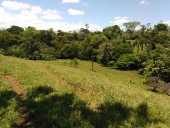 Venta de Finca en Iroquois de Guácimo, Limón