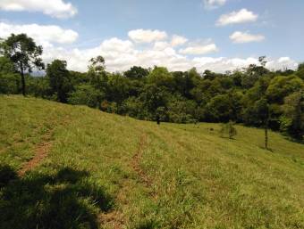 Venta de Finca en Iroquois de Guácimo, Limón