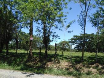 Venta de Finca en Iroquois de Guácimo, Limón