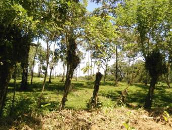 Venta de Finca en Iroquois de Guácimo, Limón