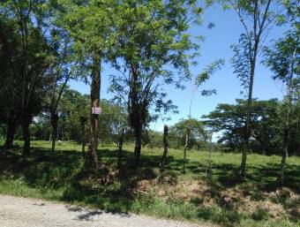 Venta de Finca en Iroquois de Guácimo, Limón