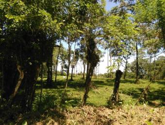 Venta de Finca en Iroquois de Guácimo, Limón