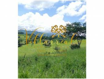 V#338 Amplia Finca en Venta/Orotina-Alajuela