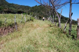 Hermosa Finca en Venta.    RioOro      CG-21-1538