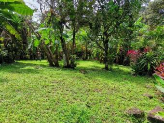 MLS-22-804 VENTA LOTE BAHIA BALLENA PUNTARENAS