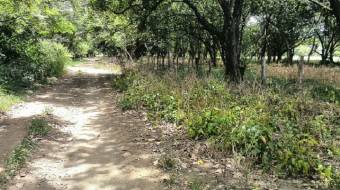 Terreno Apto Para La Agricultura Y Ganadería