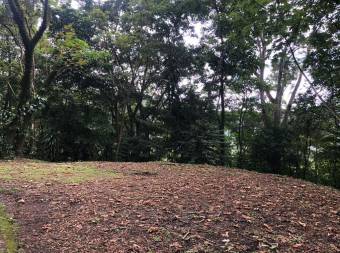 Preciosa Quinta en venta Residencial Bosques Margarita Quebrada Ganado - Jacó