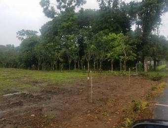 Para INVERSIONISTAS Terreno en Venta.    Guapiles     CG-21-2154