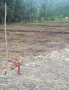 Para INVERSIONISTAS Terreno en Venta.    Guapiles     CG-21-2154