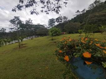 MLS-22-664 VENTA FINCA JABILLOS TURRIALBA 