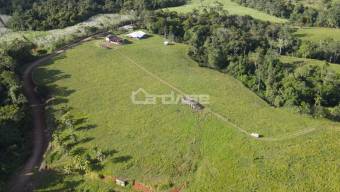 4-hectare Agro-Livestock Farm with 3 streams and drilled well - Pocosol, San Carlos