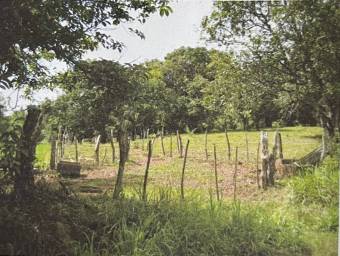 Lote en Venta en Esparza, Puntarenas. RAH 23-947