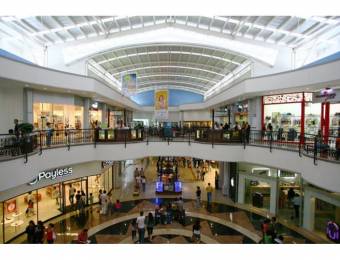 Alquiler de Local Comercial Mall Paseo las Flores