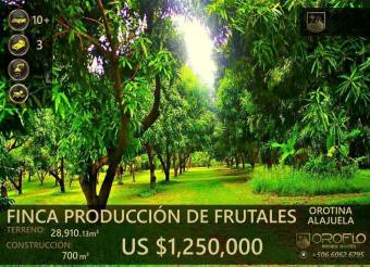 FRUIT PLANTATION FOR SALE. OROTINA, ALAJUELA #20901vm28