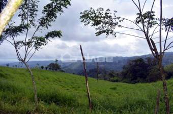 39 acres farm overlooking the Arenal Volcano, lake, spring and corral with manga