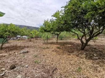 MLS-22-2127 VENTA LOTE TURRIALBA 