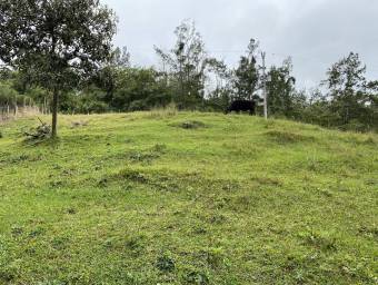 Lote en Venta en Quebradilla, Cartago. RAH 23-1033