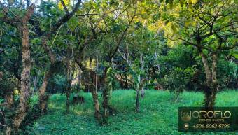 FARM OF TWO CABINS IN THE MOUNTAINS OF SAN RAFAEL, HEREDIA #40505fq