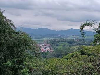 VENTA DE LOTE USO MIXTO PARA APARTAMENTOS Y COMERCIO, ALAJUELA, TAMBOR