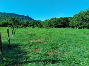 Lote de 1553m2 para construir