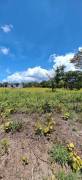 Venta de Quinta en Bagaces, Guanacaste  INVERSION 