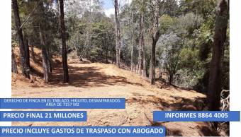 DERECHO DE FINCA EN CERRO EL TABLAZO