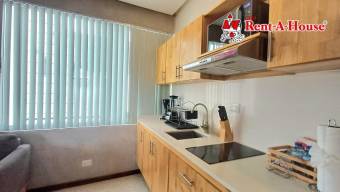 Se alquila apartamento amoblado en Carmen San José 25-708