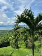 Finca con excelente vista al Golfo de Nicoya de 10 hectáreas