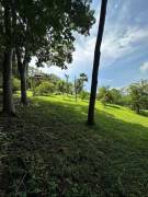 Finca con excelente vista al Golfo de Nicoya de 10 hectáreas