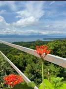 Finca con excelente vista al Golfo de Nicoya de 10 hectáreas