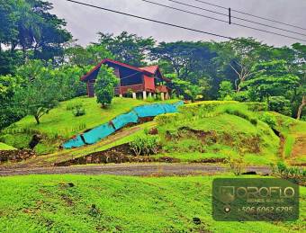 CABAÑA Y APARTAMENTO CON VISTA PANORÁMICA. OROTINA, ALAJUELA #20901rs46a