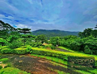 CABAÑA Y APARTAMENTO CON VISTA PANORÁMICA. OROTINA, ALAJUELA #20901rs46a