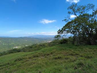 Se vende amplia finca de 26 hectáreas en Colon San José 23-3180